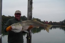 43' fish.jpg