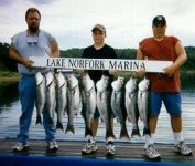 fish5.jpg