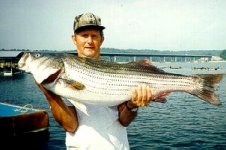 striper1.jpg