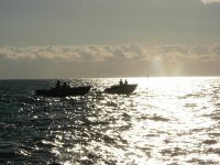 KW2009_08.jpg