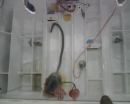IMG00609.jpg