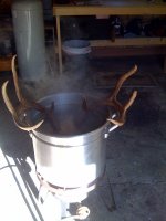 deer2.jpg