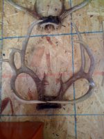 deer1.jpg