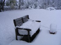 more snow.jpg