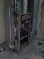 Picture 003.jpg