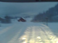 Bild(1068).jpg