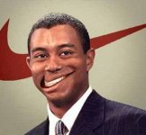 tiger.jpg