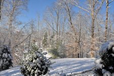 snow 2010 001 [1600x1200].jpg