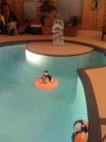 Swimming2.jpg