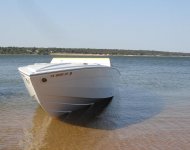 Texoma Excalibur Nose.jpg