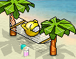 28_1_14 hammock.gif