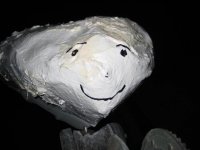 bb1.jpg