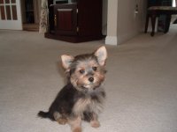 Lola sitting on bedroom floor.jpg