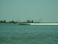 Picture 182.jpg