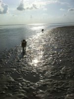 image Dogs at the end of the earth.jpg