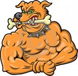 big-dog.jpg