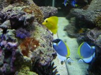 DSCN2319.jpg