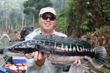 snakehead-141b.jpg