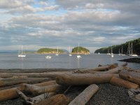 800px-EchoBaySucia.jpg