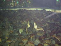 IMG_1461.jpg
