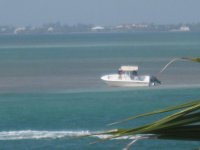 IMG_1246.jpg