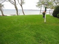 IMG_0822.jpg