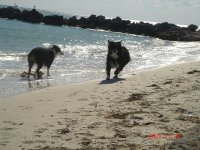 DSC00876.JPG
