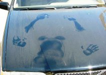 timetowashthecar.jpg