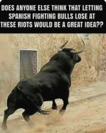 IMG_7992.jpeg