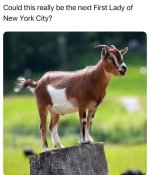IMG_8621.jpeg