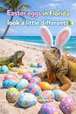 IMG_5253.jpeg