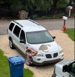 IMG_2106.jpeg