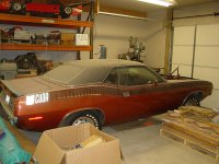 Cuda.jpg